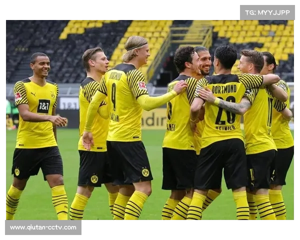 德甲电竞联赛扩军，俱乐部虚拟战队吸引年轻受众